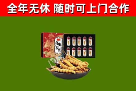 李沧区烟酒回收冬虫夏草礼盒.jpg